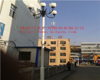 中華燈-陜北道路照明項(xiàng)目 中華燈-陜北道路照明項(xiàng)目